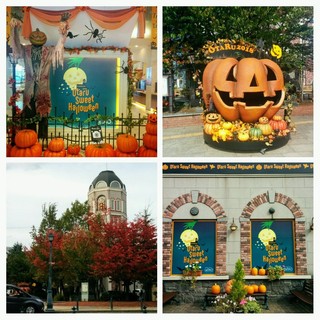 20181030_203554-COLLAGE.jpg