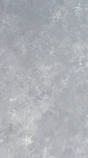 316F218D-0D35-4B70-B74F-CF25EBAF32AA.png