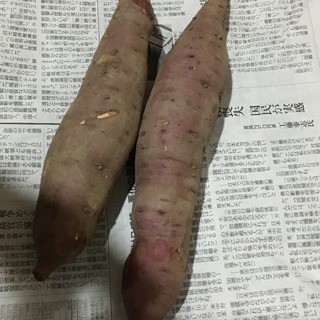 66CAF979-22A9-4829-88F0-9A92B97BEE24.jpeg