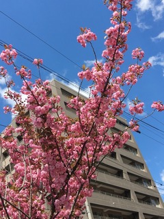 E0F02562-4072-4551-9FD2-5D04C5856549.jpeg