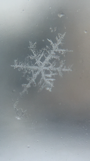 E6D3409C-0CD1-476D-B26B-47450A2A4295.png