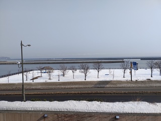 IMG_20230312_090750324.jpg