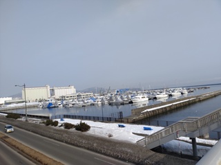 IMG_20230312_091545200.jpg