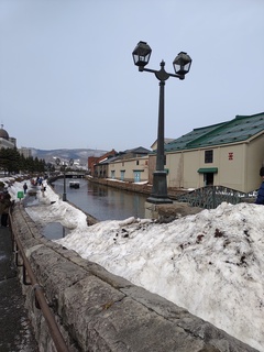 IMG_20230312_123357880.jpg