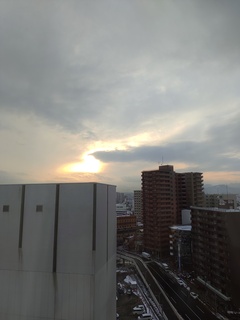 IMG_20231127_150158018.jpg