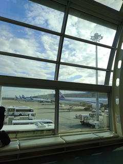 IMG_20240122_141710486.jpg
