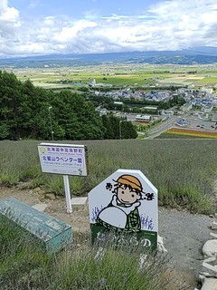 IMG_20240730_124132379.jpg