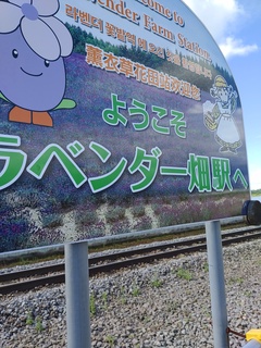 IMG_20240730_142255819.jpg