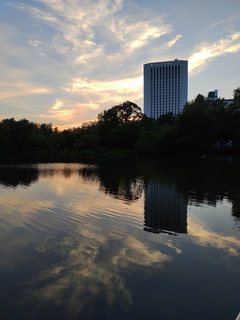 IMG_20240818_182208446.jpg