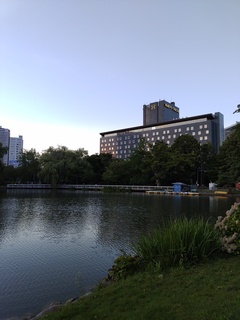 IMG_20240818_182929847.jpg
