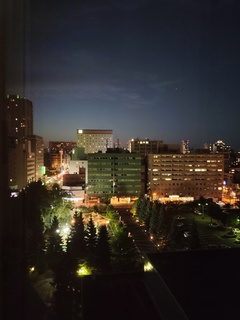 IMG_20240818_191447329.jpg