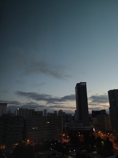 IMG_20240819_041905719.jpg