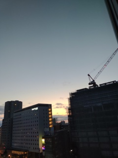 IMG_20240819_041927679.jpg