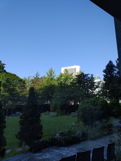 IMG_20240819_074137378.jpg