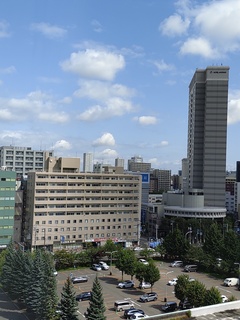 IMG_20240819_092655672.jpg