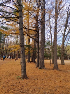 IMG_20241202_105619095.jpg