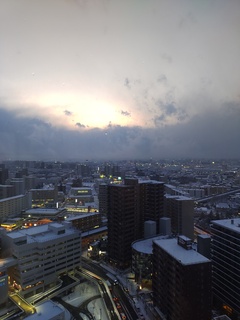 IMG_20241226_162126097.jpg
