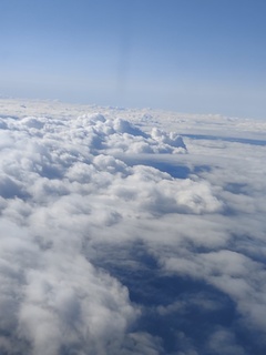 IMG_20250113_124443645.jpg