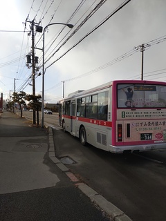 IMG_20250113_150113736.jpg