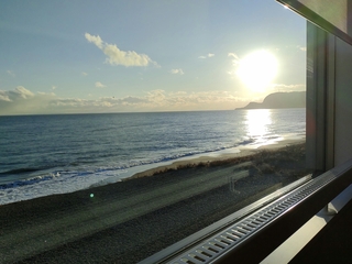 IMG_20250113_153519572.jpg