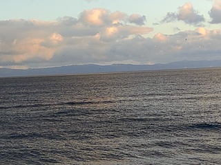 IMG_20250113_160212841.jpg