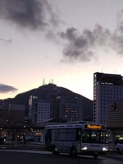 IMG_20250113_164050706.jpg