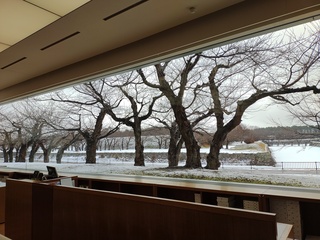 IMG_20250114_114647194.jpg