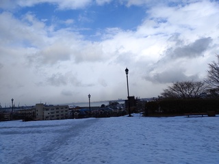IMG_20250114_132711366.jpg
