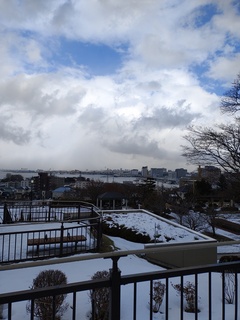 IMG_20250114_132823027.jpg