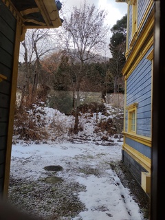 IMG_20250114_140627317.jpg