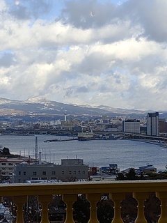 IMG_20250114_141431776.jpg