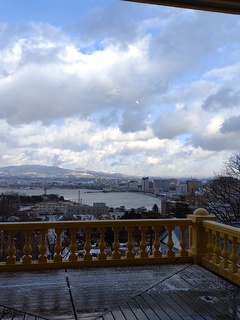 IMG_20250114_141518374.jpg