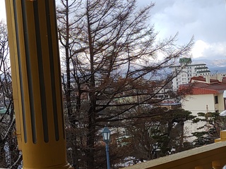 IMG_20250114_141814213.jpg