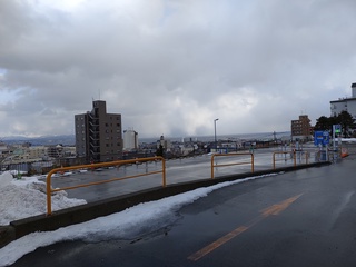 IMG_20250114_143559952.jpg