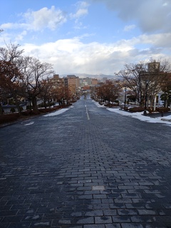 IMG_20250114_143712966.jpg