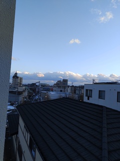 IMG_20250114_155509953.jpg