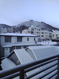 IMG_20250115_070447679.jpg