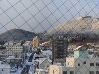 IMG_20250115_075228564.jpg