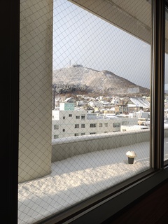 IMG_20250115_081342579.jpg