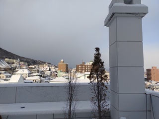 IMG_20250115_082907080.jpg