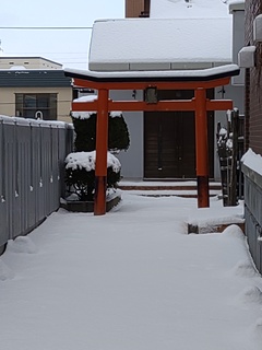IMG_20250115_101954168.jpg