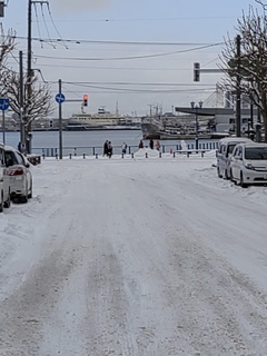 IMG_20250115_102346230.jpg