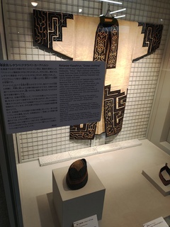 IMG_20250115_110741664.jpg