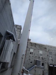 IMG_20250115_111450106.jpg