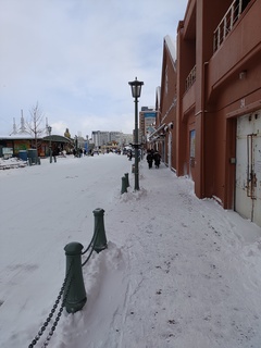 IMG_20250115_131143668.jpg
