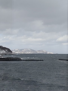 IMG_20250302_110713779.jpg
