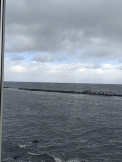 IMG_20250302_111357382.jpg