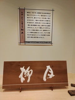 IMG_20250302_141918019.jpg