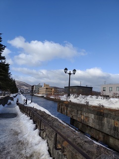 IMG_20250302_150229878.jpg