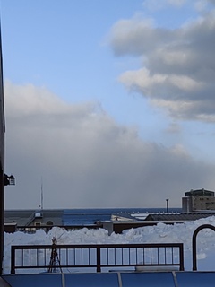 IMG_20250302_160831506.jpg